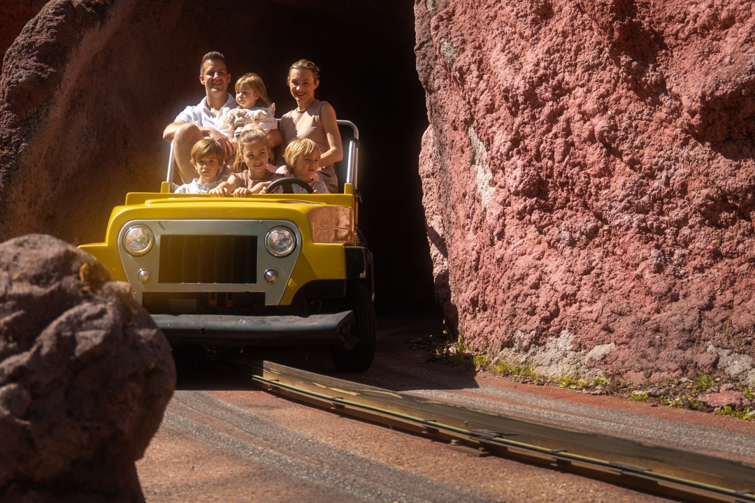 Bild für Tagestickets